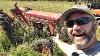 Coolest Looking Old Tractor Pulled From The Bushes For A New Life On The Farm