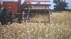 Old Film Showing Farming And Tractor Machiner In Lincolnshire